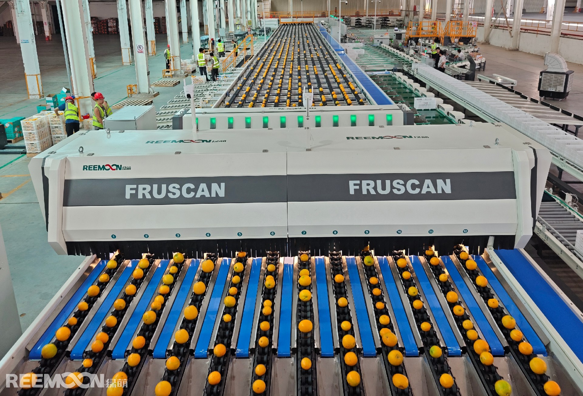 1764669563167616.jpg 裁切.jpg