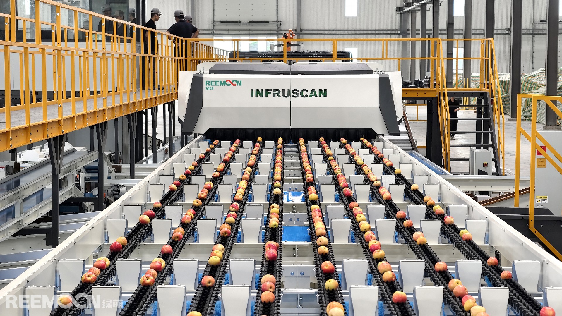 1764729181206746.jpg 蘋(píng)果八通道分選線(xiàn).jpg