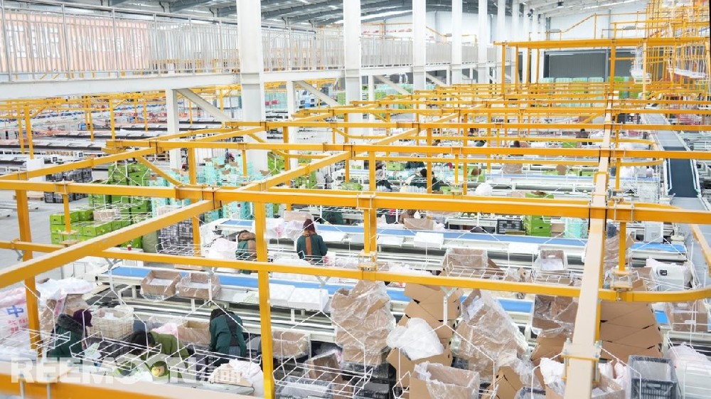 近日，甘肅省慶陽市西峰區(qū)彭原鎮(zhèn)鄢旗坳村傳來產(chǎn)業(yè)升級捷報：由慶陽居立農(nóng)業(yè)公司總投資1.02億元的慶陽蘋果智慧分選倉儲中心項目核心設(shè)備——呵福式雙通道分選線正式投用。這一國際先進設(shè)備的落地，標(biāo)志著慶陽市西峰區(qū)蘋果產(chǎn)業(yè)告別傳統(tǒng)人工分選模式，邁入“智能檢測、精準(zhǔn)分級、高效增值”的智慧化發(fā)展新紀(jì)元，為隴東地區(qū)果業(yè)