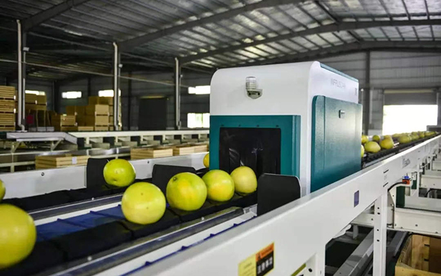 Adding value to your fruit by sort both internal and external quality